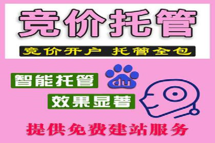 百度推广运营案例解析：从零开始到精通