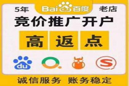 百度推广公司：成功案例解析
