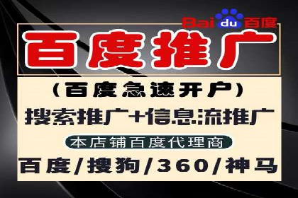 行业典范：百度竞价托管外包成功案例剖析